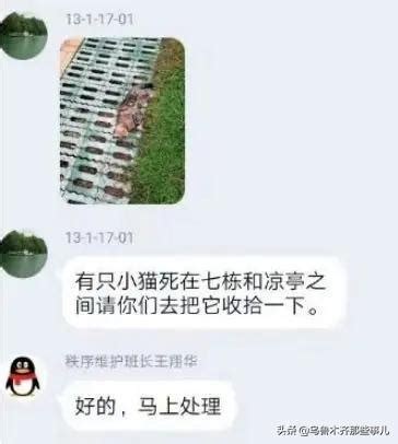 背部長毛|背部長毛是什么原因